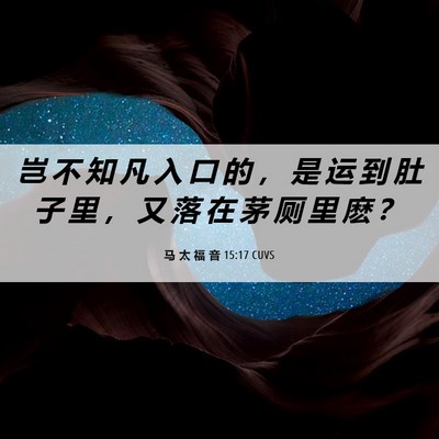 Picture 06 - 马 太 福 音 15:17 CUVS - 岂 不 知 凡 入 口 的 ， 是 运 到 肚 - Bible Verse Picture