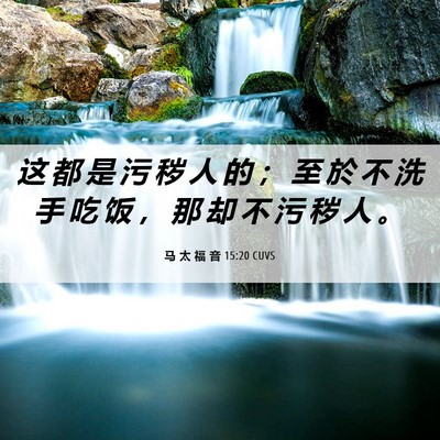 Picture 06 - 马 太 福 音 15:20 CUVS - 这 都 是 污 秽 人 的 ； 至 於 不 洗 - Bible Verse Picture