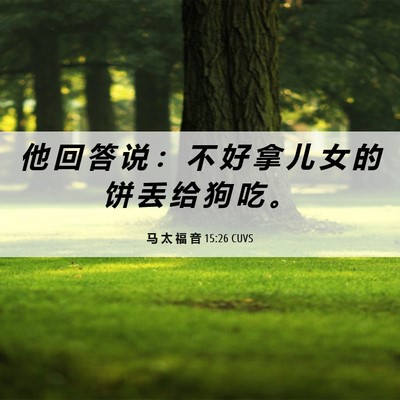 Picture 06 - 马 太 福 音 15:26 CUVS - 他 回 答 说 ： 不 好 拿 儿 女 的 饼 - Bible Verse Picture