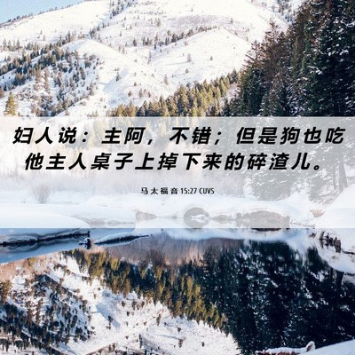 Picture 06 - 马 太 福 音 15:27 CUVS - 妇 人 说 ： 主 阿 ， 不 错 ； 但 是 - Bible Verse Picture