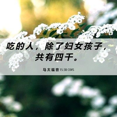 Picture 06 - 马 太 福 音 15:38 CUVS - 吃 的 人 ， 除 了 妇 女 孩 子 ， 共 - Bible Verse Picture