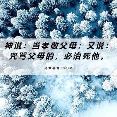 Picture 06 - 马 太 福 音 15:4 CUVS - 神 说 ： 当 孝 敬 父 母 ； 又 说 ： - Bible Verse Picture