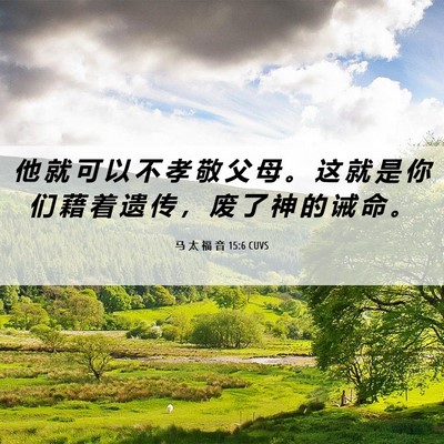 Picture 06 - 马 太 福 音 15:6 CUVS - 他 就 可 以 不 孝 敬 父 母 。 这 就 - Bible Verse Picture