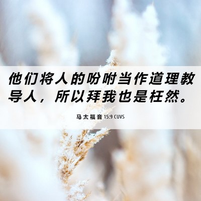 Picture 06 - 马 太 福 音 15:9 CUVS - 他 们 将 人 的 吩 咐 当 作 道 理 教 - Bible Verse Picture
