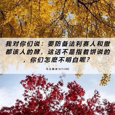 Picture 06 - 马 太 福 音 16:11 CUVS - 我 对 你 们 说 ： 要 防 备 法 利 赛 - Bible Verse Picture