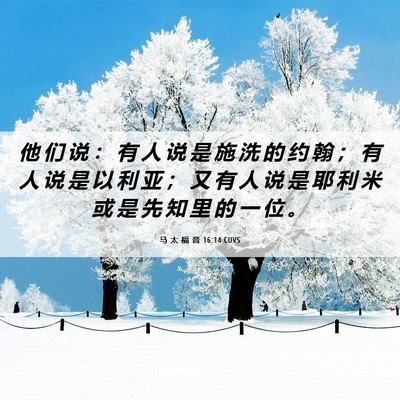 Picture 06 - 马 太 福 音 16:14 CUVS - 他 们 说 ： 有 人 说 是 施 洗 的 约 - Bible Verse Picture