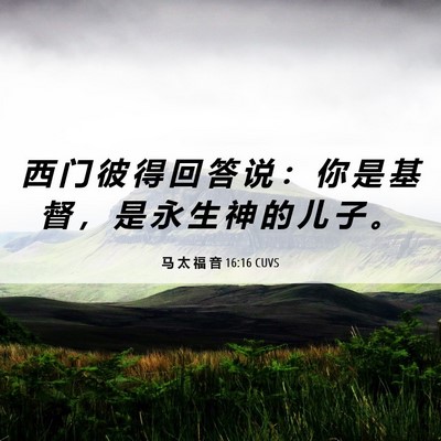 Picture 06 - 马 太 福 音 16:16 CUVS - 西 门 彼 得 回 答 说 ： 你 是 基 督 - Bible Verse Picture