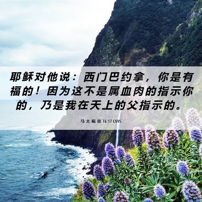 Picture 06 - 马 太 福 音 16:17 CUVS - 耶 稣 对 他 说 ： 西 门 巴 约 拿 ， - Bible Verse Picture