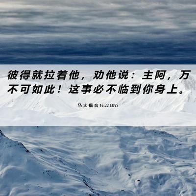 Picture 06 - 马 太 福 音 16:22 CUVS - 彼 得 就 拉 着 他 ， 劝 他 说 ： 主 - Bible Verse Picture