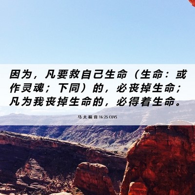 Picture 06 - 马 太 福 音 16:25 CUVS - 因 为 ， 凡 要 救 自 己 生 命 （ 生 - Bible Verse Picture
