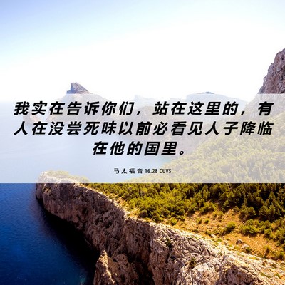 Picture 06 - 马 太 福 音 16:28 CUVS - 我 实 在 告 诉 你 们 ， 站 在 这 里 - Bible Verse Picture