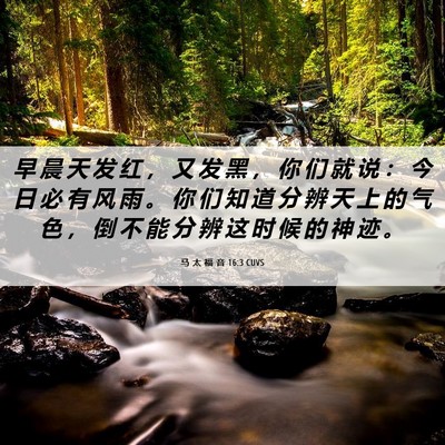 Picture 06 - 马 太 福 音 16:3 CUVS - 早 晨 天 发 红 ， 又 发 黑 ， 你 们 - Bible Verse Picture