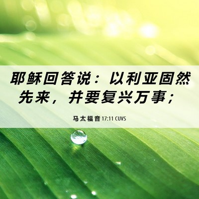 Picture 06 - 马 太 福 音 17:11 CUVS - 耶 稣 回 答 说 ： 以 利 亚 固 然 先 - Bible Verse Picture