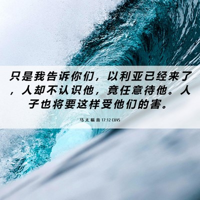 Picture 06 - 马 太 福 音 17:12 CUVS - 只 是 我 告 诉 你 们 ， 以 利 亚 已 - Bible Verse Picture