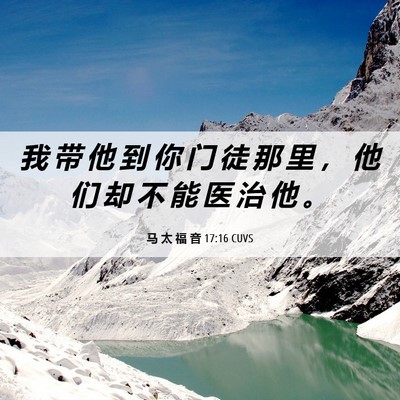 Picture 06 - 马 太 福 音 17:16 CUVS - 我 带 他 到 你 门 徒 那 里 ， 他 们 - Bible Verse Picture