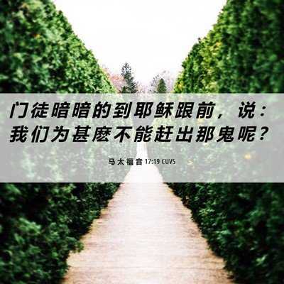 Picture 06 - 马 太 福 音 17:19 CUVS - 门 徒 暗 暗 的 到 耶 稣 跟 前 ， 说 - Bible Verse Picture