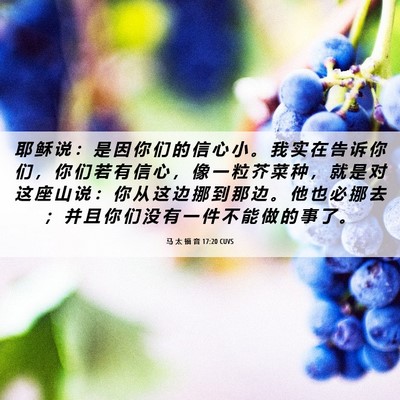 Picture 06 - 马 太 福 音 17:20 CUVS - 耶 稣 说 ： 是 因 你 们 的 信 心 小 - Bible Verse Picture