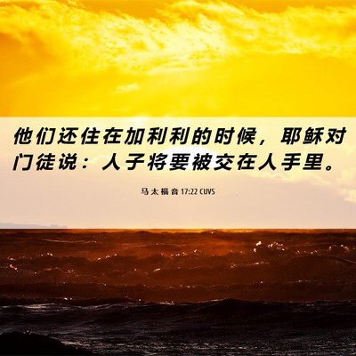 Picture 06 - 马 太 福 音 17:22 CUVS - 他 们 还 住 在 加 利 利 的 时 候 ， - Bible Verse Picture