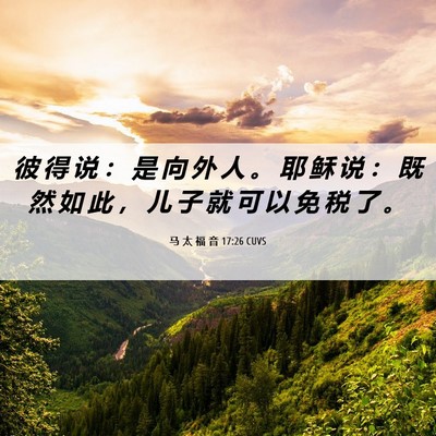 Picture 06 - 马 太 福 音 17:26 CUVS - 彼 得 说 ： 是 向 外 人 。 耶 稣 说 - Bible Verse Picture