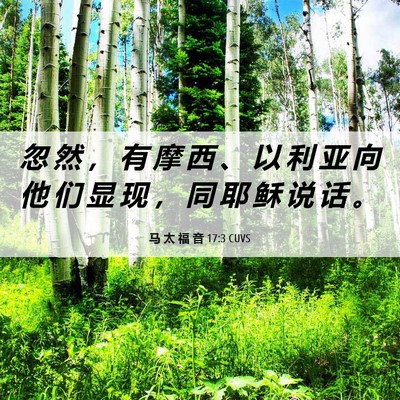 Picture 06 - 马 太 福 音 17:3 CUVS - 忽 然 ， 有 摩 西 、 以 利 亚 向 他 - Bible Verse Picture