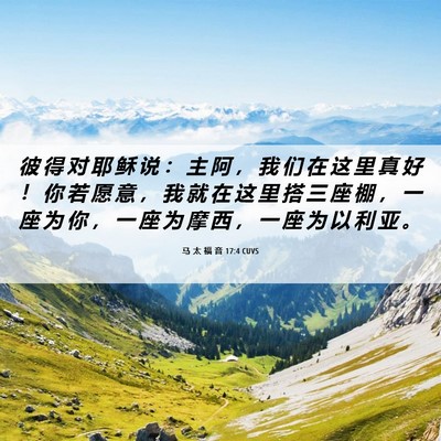 Picture 06 - 马 太 福 音 17:4 CUVS - 彼 得 对 耶 稣 说 ： 主 阿 ， 我 们 - Bible Verse Picture
