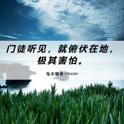 Picture 06 - 马 太 福 音 17:6 CUVS - 门 徒 听 见 ， 就 俯 伏 在 地 ， 极 - Bible Verse Picture