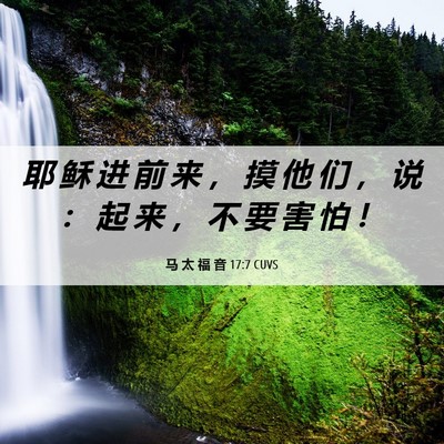 Picture 06 - 马 太 福 音 17:7 CUVS - 耶 稣 进 前 来 ， 摸 他 们 ， 说 ： - Bible Verse Picture