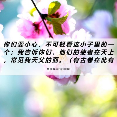 Picture 06 - 马 太 福 音 18:10 CUVS - 你 们 要 小 心 ， 不 可 轻 看 这 小 - Bible Verse Picture