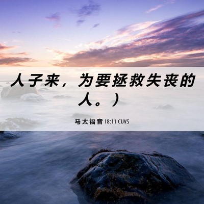 Picture 06 - 马 太 福 音 18:11 CUVS - 人 子 来 ， 为 要 拯 救 失 丧 的 人 - Bible Verse Picture