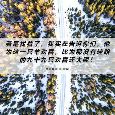 Picture 06 - 马 太 福 音 18:13 CUVS - 若 是 找 着 了 ， 我 实 在 告 诉 你 - Bible Verse Picture