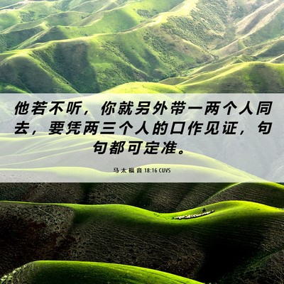 Picture 06 - 马 太 福 音 18:16 CUVS - 他 若 不 听 ， 你 就 另 外 带 一 两 - Bible Verse Picture