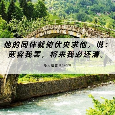 Picture 06 - 马 太 福 音 18:29 CUVS - 他 的 同 伴 就 俯 伏 央 求 他 ， 说 - Bible Verse Picture