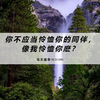 Picture 06 - 马 太 福 音 18:33 CUVS - 你 不 应 当 怜 恤 你 的 同 伴 ， 像 - Bible Verse Picture