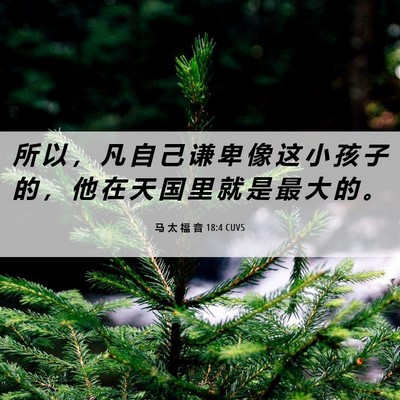 Picture 06 - 马 太 福 音 18:4 CUVS - 所 以 ， 凡 自 己 谦 卑 像 这 小 孩 - Bible Verse Picture