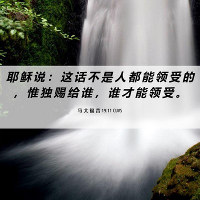 Picture 06 - 马 太 福 音 19:11 CUVS - 耶 稣 说 ： 这 话 不 是 人 都 能 领 - Bible Verse Picture