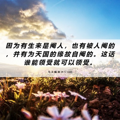 Picture 06 - 马 太 福 音 19:12 CUVS - 因 为 有 生 来 是 阉 人 ， 也 有 被 - Bible Verse Picture