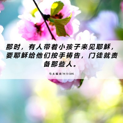 Picture 06 - 马 太 福 音 19:13 CUVS - 那 时 ， 有 人 带 着 小 孩 子 来 见 - Bible Verse Picture