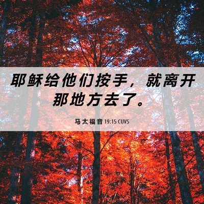 Picture 06 - 马 太 福 音 19:15 CUVS - 耶 稣 给 他 们 按 手 ， 就 离 开 那 - Bible Verse Picture