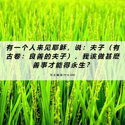 Picture 06 - 马 太 福 音 19:16 CUVS - 有 一 个 人 来 见 耶 稣 ， 说 ： 夫 - Bible Verse Picture