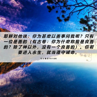 Picture 06 - 马 太 福 音 19:17 CUVS - 耶 稣 对 他 说 ： 你 为 甚 麽 以 善 - Bible Verse Picture