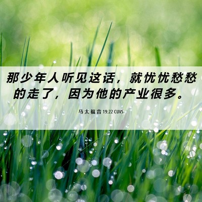 Picture 06 - 马 太 福 音 19:22 CUVS - 那 少 年 人 听 见 这 话 ， 就 忧 忧 - Bible Verse Picture
