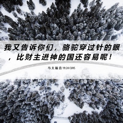 Picture 06 - 马 太 福 音 19:24 CUVS - 我 又 告 诉 你 们 ， 骆 驼 穿 过 针 - Bible Verse Picture