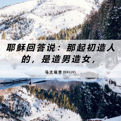 Picture 06 - 马 太 福 音 19:4 CUVS - 耶 稣 回 答 说 ： 那 起 初 造 人 的 - Bible Verse Picture