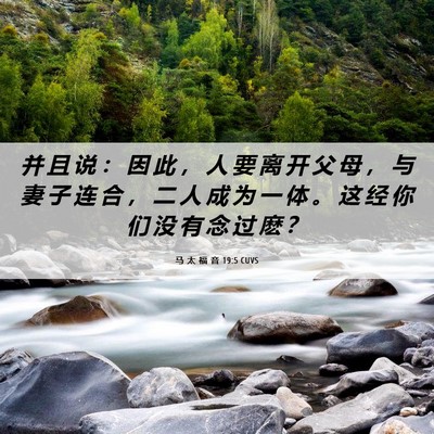 Picture 06 - 马 太 福 音 19:5 CUVS - 并 且 说 ： 因 此 ， 人 要 离 开 父 - Bible Verse Picture