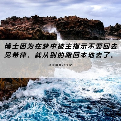 Picture 06 - 马 太 福 音 2:12 CUVS - 博 士 因 为 在 梦 中 被 主 指 示 不 - Bible Verse Picture