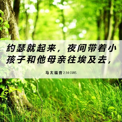 Picture 06 - 马 太 福 音 2:14 CUVS - 约 瑟 就 起 来 ， 夜 间 带 着 小 孩 - Bible Verse Picture
