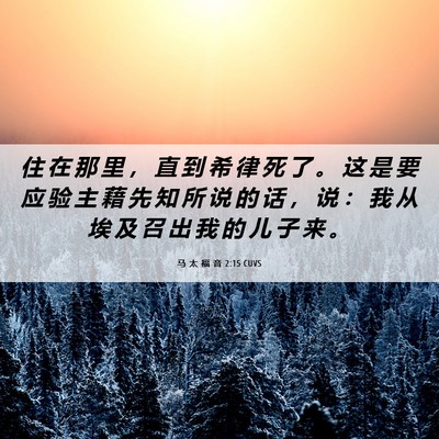 Picture 06 - 马 太 福 音 2:15 CUVS - 住 在 那 里 ， 直 到 希 律 死 了 。 - Bible Verse Picture