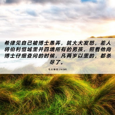Picture 06 - 马 太 福 音 2:16 CUVS - 希 律 见 自 己 被 博 士 愚 弄 ， 就 - Bible Verse Picture