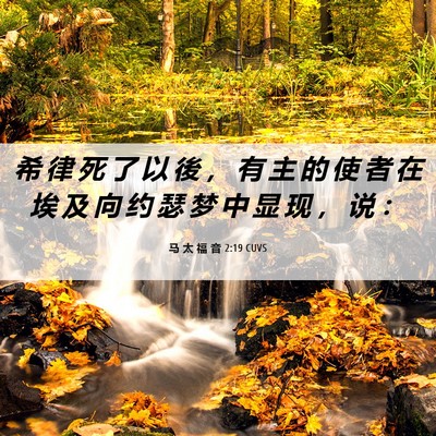 Picture 06 - 马 太 福 音 2:19 CUVS - 希 律 死 了 以 後 ， 有 主 的 使 者 - Bible Verse Picture