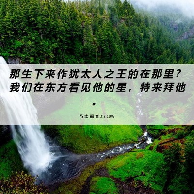 Picture 06 - 马 太 福 音 2:2 CUVS - 那 生 下 来 作 犹 太 人 之 王 的 在 - Bible Verse Picture
